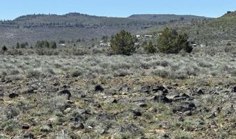 Oregon Pines Road TL 1200, Beatty, OR 97621