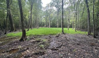 Gun Baoyu Road, Belzoni, MS 39038