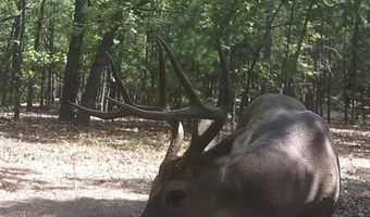 187602 N 4138 Rd, Antlers, OK 74523