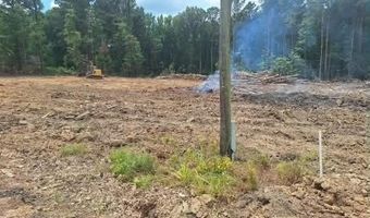 709 Old Pinola Braxton Rd, Braxton, MS 39044