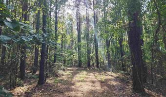 0 Lowery Rd Lot #10, Atmore, AL 36502
