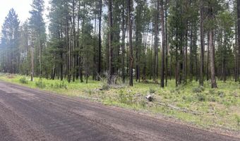 55970 Browning Dr, Bend, OR 97707