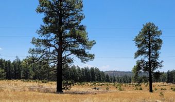 Tbd STONE CREEK RD CR 2117, Alpine, AZ 85920