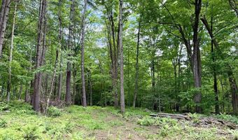 Great Hollow Road, Cornwall, CT 06753