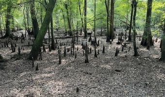 1373 Bridge St, Branchville, SC 29432