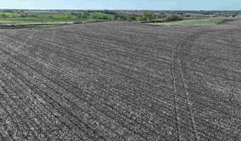 Vine Avenue, Ainsworth, IA 52201
