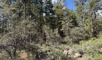 Thunderbear Road 46, Bonanza, OR 97623