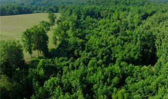 Todd Road, Advance, NC 27006