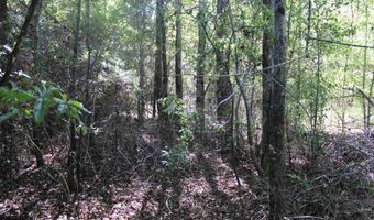 6 95 Acres 7th St, Ardmore, AL 35739