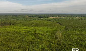 Flowers Road, Bay Minette, AL 36507