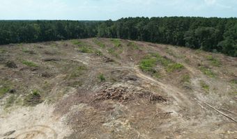 SE Cole Drive, Bogue Chitto, MS 39629