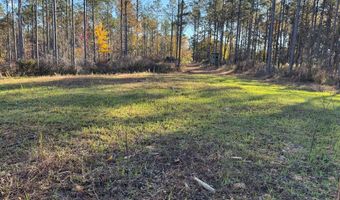 Hwy 9, Bruce, MS 38915