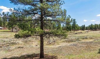 841 Beaver Creek Dr, Bayfield, CO 81122