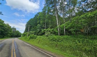 738 Four Mile Rd, Allegany, NY 14706