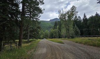 1229 W Vallecito Creek Rd, Bayfield, CO 81122