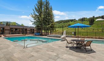 38750 Hwy 82 1109, Aspen, CO 81611