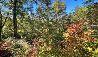 269 Azalea Trl, Almond, NC 28702