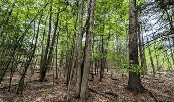 Stewart Road, Addison, NY 14801
