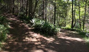 17769 RAINBOW ROCK Rd, Brookings, OR 97415