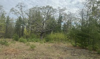 L15 S Durham Estates Road, Acra, NY 12405