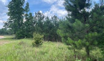 Wolf Creek Dr lot 38, Americus, GA 31719
