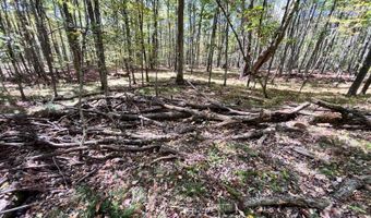 1235 White Hill Rd, Alma, NY 14715