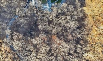 451403 Pheasant Cir Lot 56, Afton, OK 74331