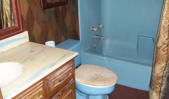 1211 BUCK WRIGHT Rd, Ashdown, AR 71822