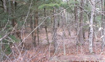 TBD Ole Farnham Road, Alfred, ME 04002