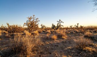2641 S Javalina Rd, Yucca, AZ 86438