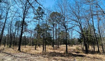 45 N 4450 Rd, Albion, OK 74521