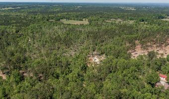 1250 Mosley Rd, Lincolnton, GA 30817