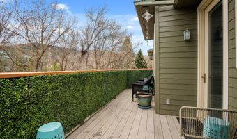 712 Evans Ct, Basalt, CO 81621