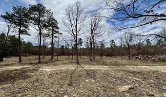 10028 Hwy 66, Alco, AR 72680
