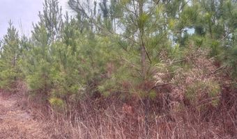 Qbf 12 Nurnberg Dr Road Qbf 12, Batesburg Leesville, SC 29070