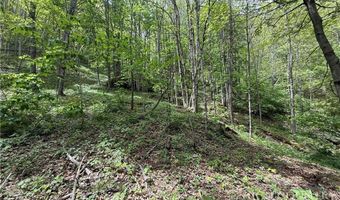 Spice Creek Road, Banner Elk, NC 28604