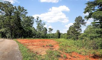 193 Ac Massa Rd, Baxter, TN 38544