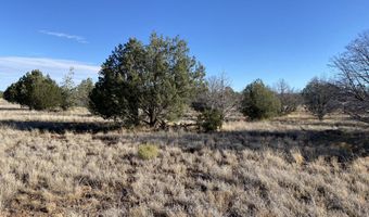 3160 W Mesa Dr, Ash Fork, AZ 86046