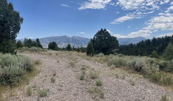LOT 6 STONEGATE DRIVE, Afton, WY 83110