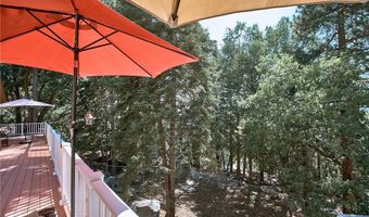 6204 Spruce Ave, Angelus Oaks, CA 92305