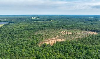 Wilson Lane, Arnoldsville, GA 30619