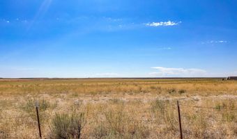 138 N LAIDLAW PARK Rd, Carey, ID 83320