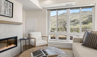 85 Kodiak Dr 304, Basalt, CO 81621