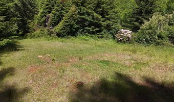 20452 Whaleshead Rd, Brookings, OR 97415
