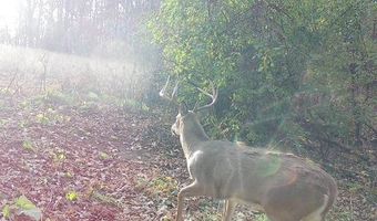 Simons Rd, Alma, WI 54610