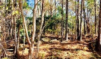 6209 Riviera Dr, Biloxi, MS 39532