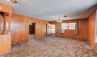 204 Igoe Ave, Anton, TX 79313