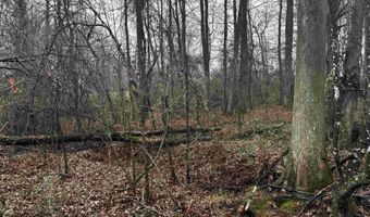 67 Old Wire Rd, Atkins, AR 72823