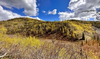 B005 S Packsaddle Road, Chickaloon, AK 99674