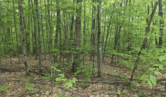 5 Panaway Dr 11-1-3, Campton, NH 03223